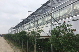 Outside Shading System of Greenhouse