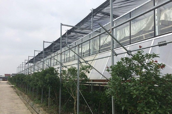 Sunshine Shading System of Agriculture Greenhouse