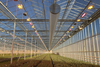Galvanized Steel Greenhouse for Agriculture