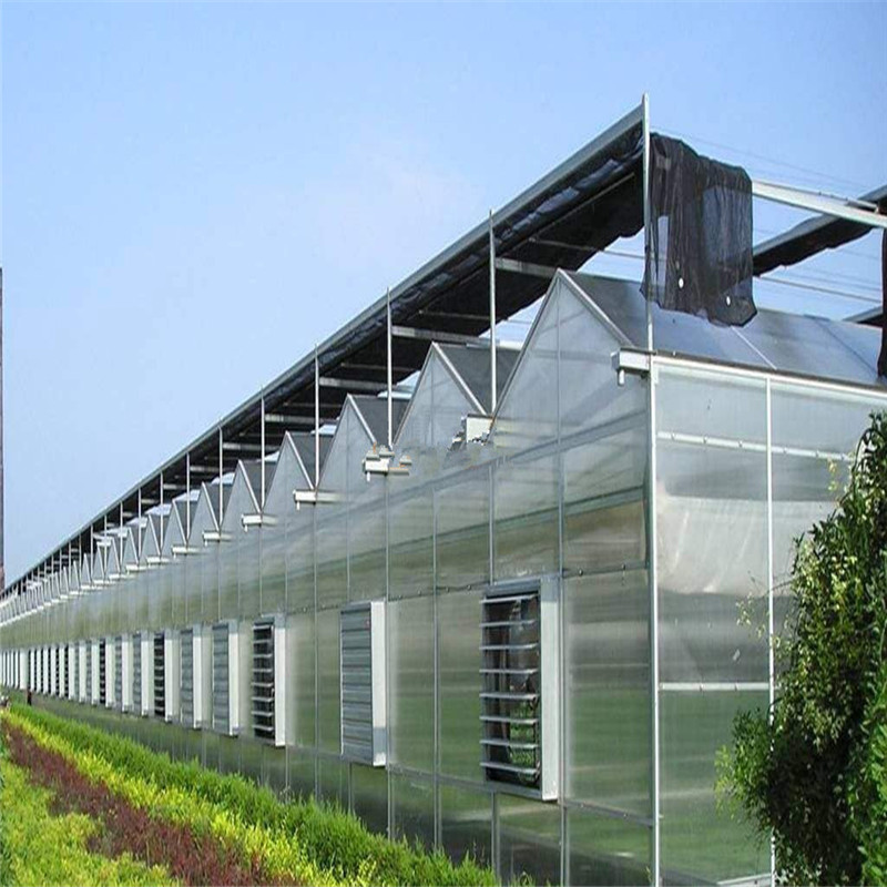 Polycarbonate High quality cheap price Hydroponic Agricultural PC Greenhouse for Vegetables/flowers/fruits/garden/tomato/crop/corn
