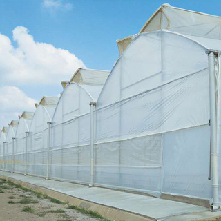 Butterfly Greenhouse Roof Ventilation System 