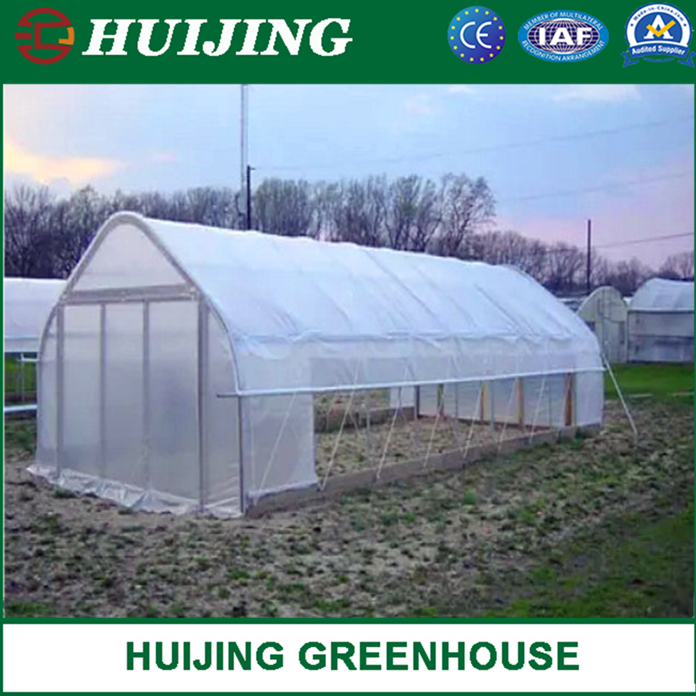 China Supplier Agriculture Single Span/Multi Span Tunnel Plastic Film Greenhouse for Flowers/Tomato/Lettuce Planting
