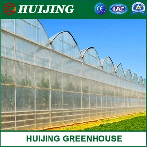 Low Price Commercial Agriculture Green House Wide Wide PE Plastic Film Greenhouse for Farming