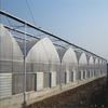 Hot sale Polycarbonate High quality cheap price Hydroponic Agricultural PC Greenhouse for Vegetables/flowers/fruits/garden/tomato/crop/corn