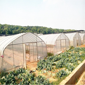 Low Cost Single Span Film Tunnel Greenhouse with Hydroponics System/Cooling System/Heating System 