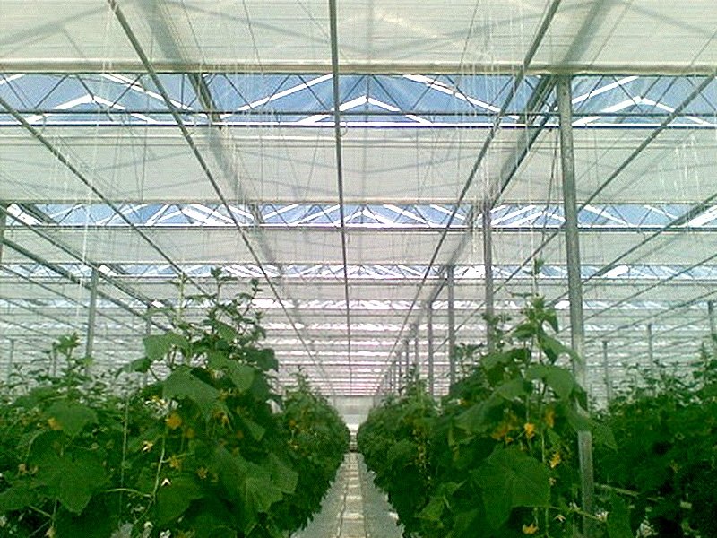 Economical Agricultural Greenhouse Inside Shading System