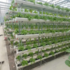 Multi-span High quality Hydroponic system Greenhouse Venlo Agricultural Greenhouse for Vegetables/flowers/fruits/garden/tomato/crop/corn