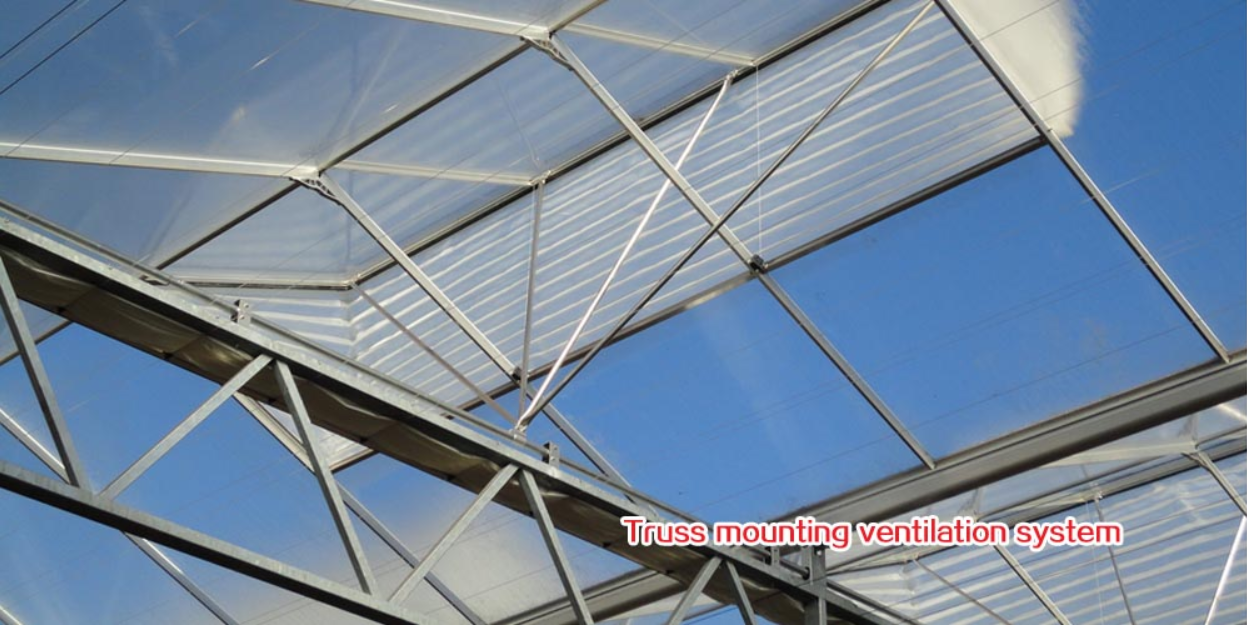 The Cheapest Roof Ventilation System for Farm Poultry Greenhouse Made in China