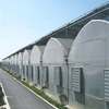 Arch Type Steel Structure Poly Film/PC Sheet Covered Greenhouse for Vegetables