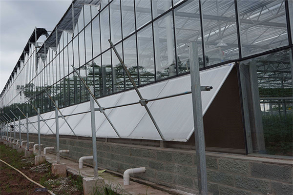 Greenhouse Ventilation System for Temperature Reduction