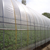 Polytunnel Single-span cheap price Hydroponic Agricultural Film Greenhouse for Vegetables/flowers/fruits/garden/tomato/crop/corn