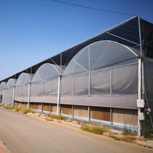 High Quality Multi-span Film Plastic Greenhouse for Agriculture 