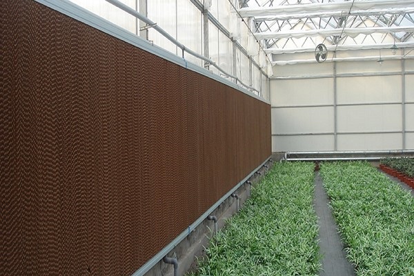 Various Specifications Cooling System for Greenhouse