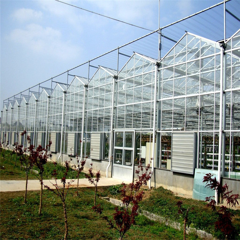 Venlo Greenhouse Excellent quality Heating System Multi-span Agricultural Hydroponic Greenhouse for Vegetables/flowers/fruits/garden/tomato/crop/corn
