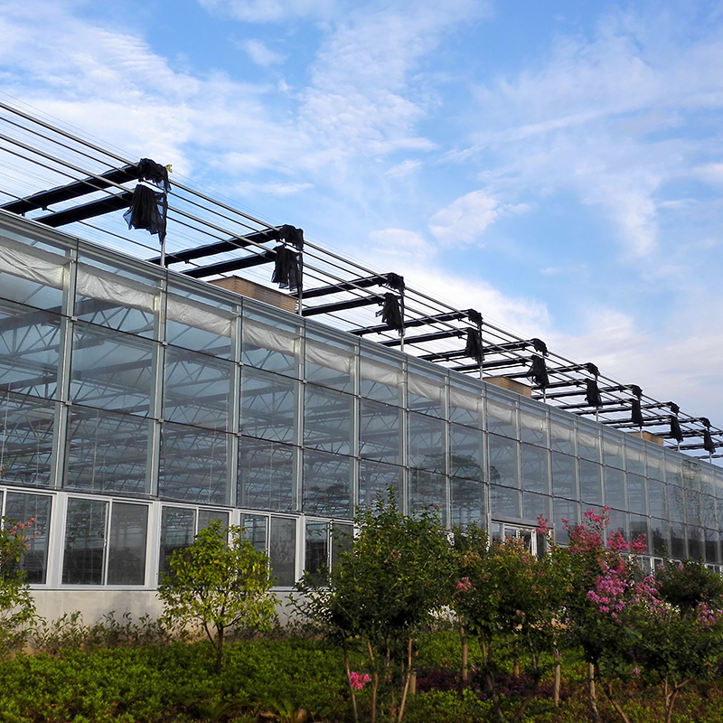 Agricultural Multi Span Greenhouse Ventilation System 