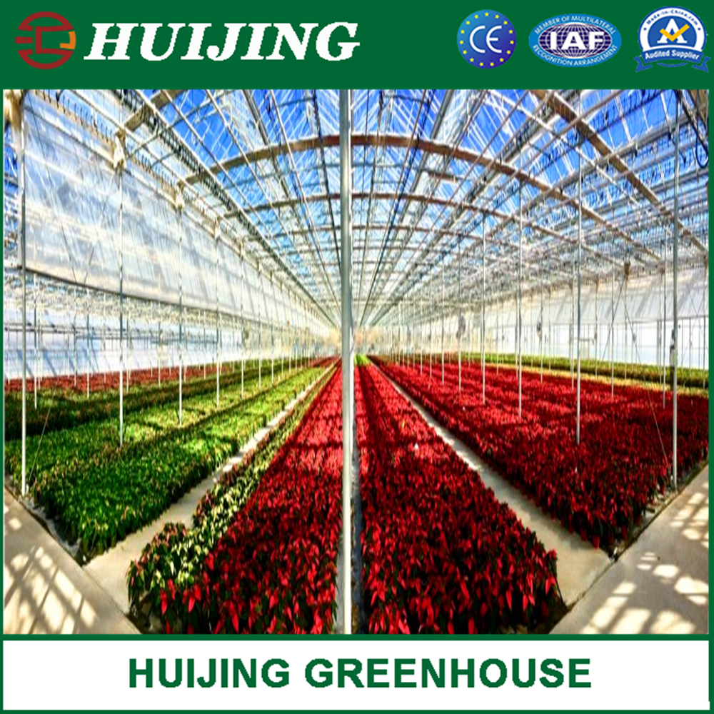PC Sheet Agriculture Plastic Film Glass Sheet Multi-Span Polycarbonate Greenhouse