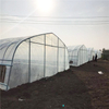 Low Cost Tunnel Greenhouse