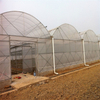 Polytunnel Hydroponic Venlo Multi-span Agricultural Polycarbonate Film Greenhouse for Vegetables/flowers/fruits/garden/tomato