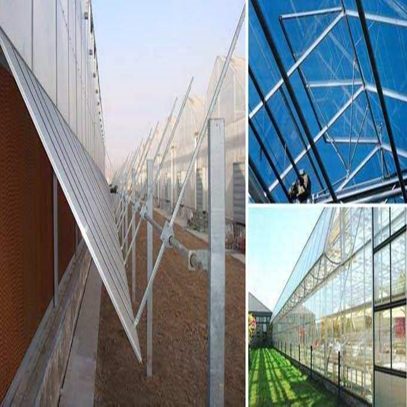 Hydroponic greenhouse with high quality Ventilation System Venlo Multi-span Agricultural Greenhouse for Vegetables/flowers/fruits/garden/tomato/crop/corn