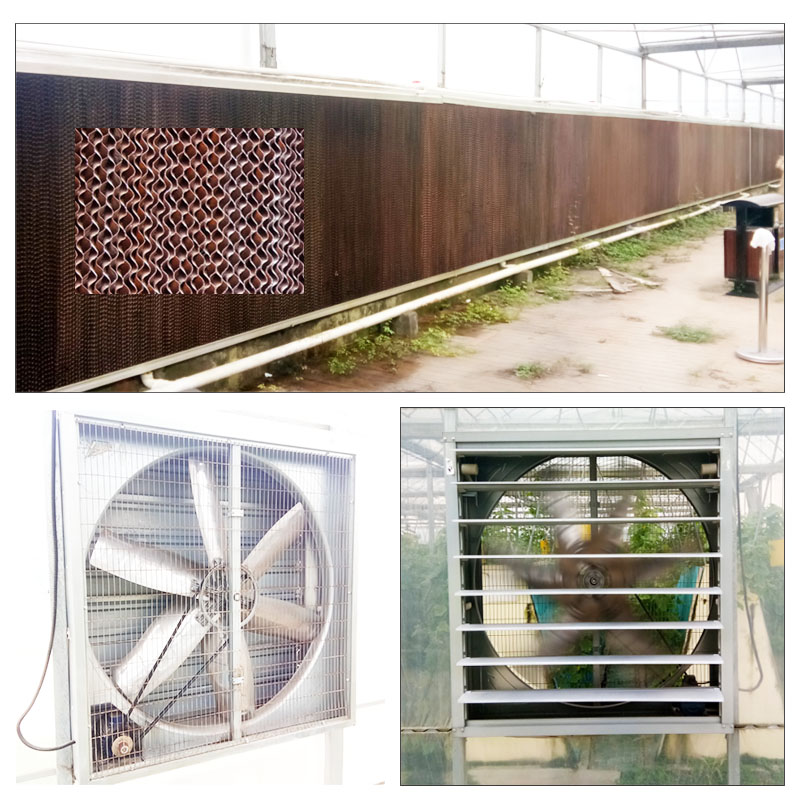 Water Curtain Cooling Pad System for Greenhouse