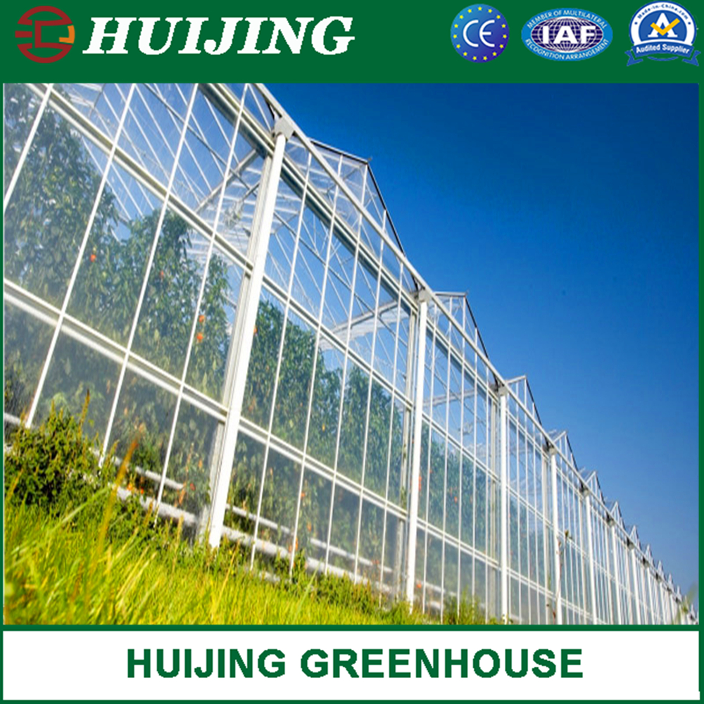 Plastic Film Green House/Polycarbonate Sheet PC/Hydroponic Venlo Glass/Greenhouse for Farming Agriculture of Vegetables/Flowers/Tomato/Garden