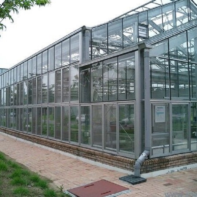 Agriculture Commercial Venlo Glass Greenhouse for Tomato