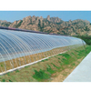 Solar Greenhouse with Earthen Back Wall for Vegetable/Hydroponics/Tomato Cultivation
