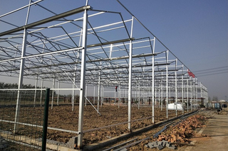 Steel Structure of Greenhouse