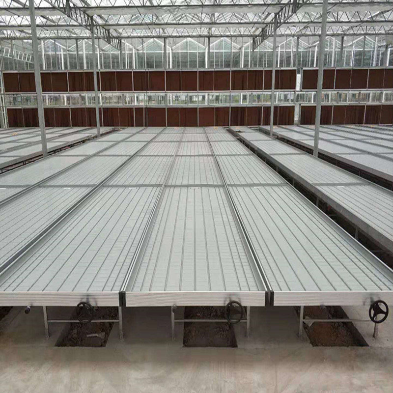  High quality Nursery system Venlo Greenhouse Agricultural Greenhouse for Vegetables/flowers/fruits/garden/tomato/crop/corn