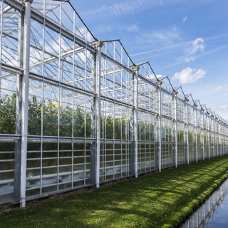 Great Performance Venlo Glass Greenhouse Solution