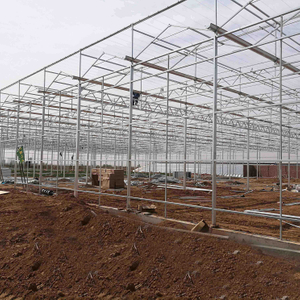 20 Years Lifetime Hot Dip Galvanized Steel Structure for Greenhouse