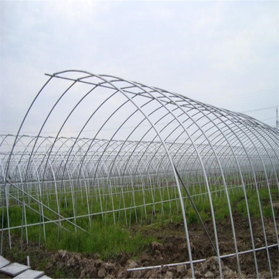Plastic cheap price Solar Venlo Polytunnel Hydroponic Agricultural Film Greenhouse for Vegetables/flowers/fruits/garden/tomato/crop/corn