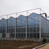 Hot Sale (polycarbonate) PC Greenhouse for Tomatoes