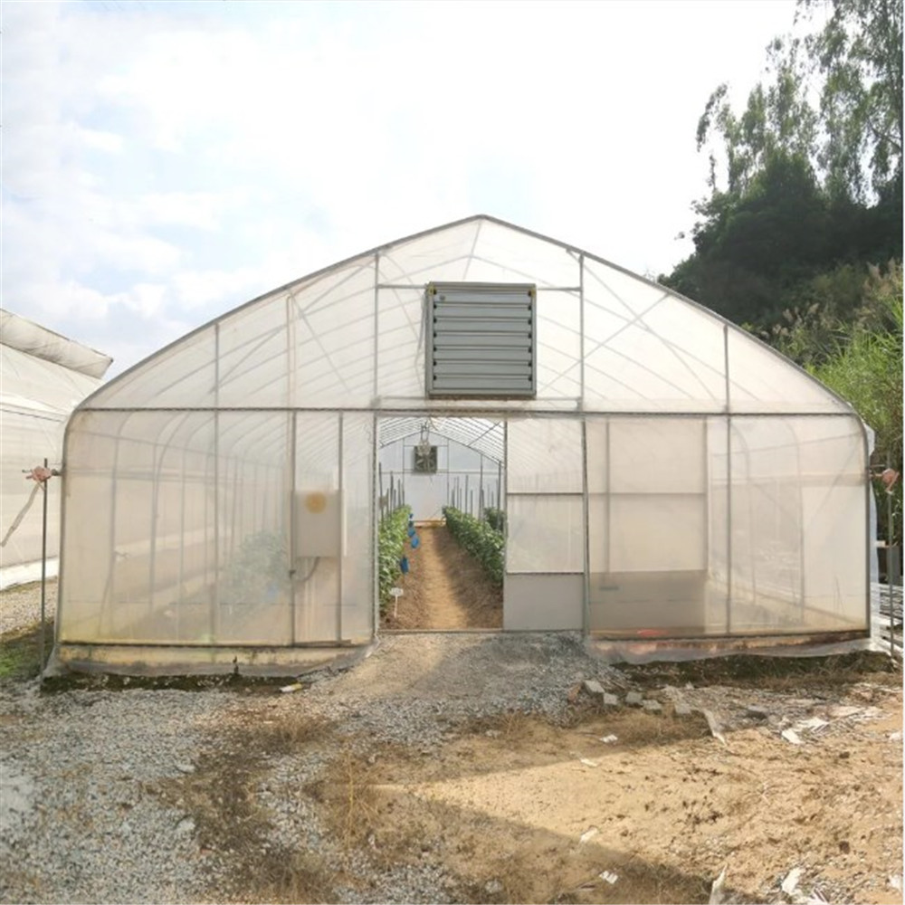 Low Cost Single Span Film Tunnel Greenhouse with Hydroponics System/Cooling System/Heating System 