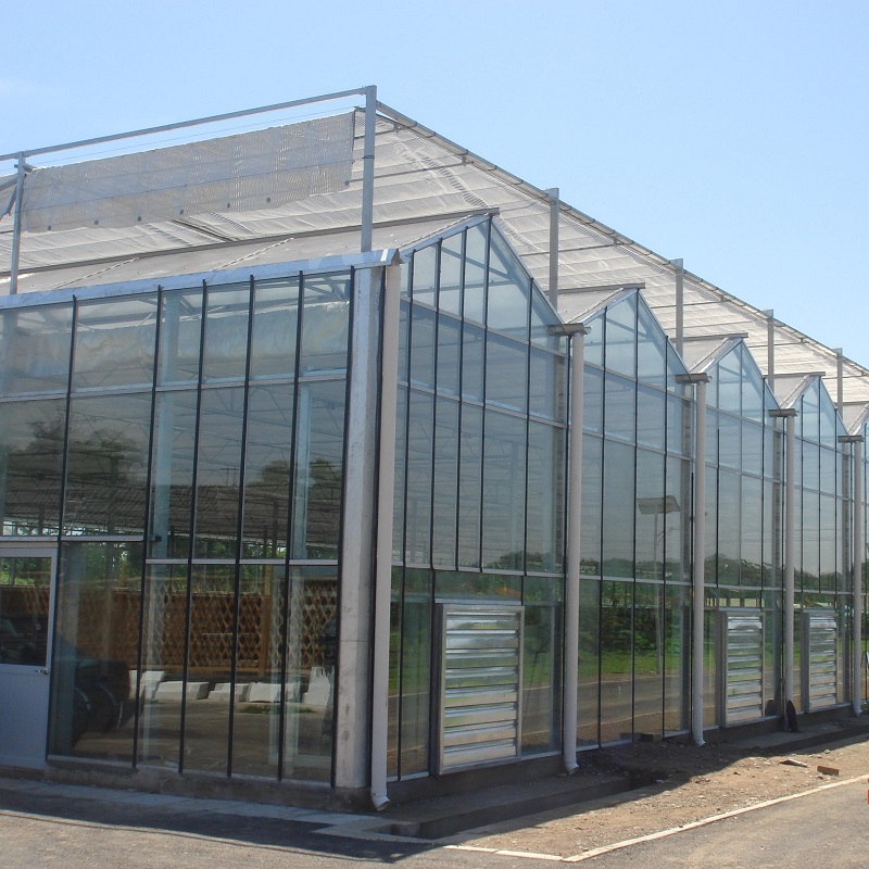 Agriculture Commercial Venlo Glass Greenhouse for Tomato