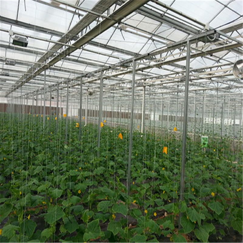 Cheapest High quality Nursery system Venlo Greenhouse Agricultural Greenhouse for Vegetables/flowers/fruits/garden/tomato/crop/corn