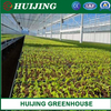Greenhouse Seedbed and Other Planting System, Nursery Benches