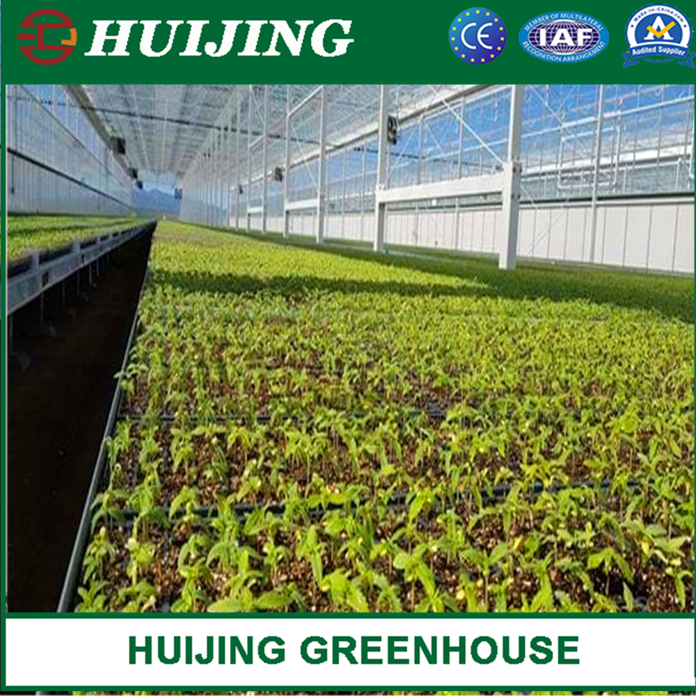 Greenhouse Nursery Ebb and Flow Rolling Bench Food Grade