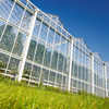 Complete Venlo Greenhouse Solution