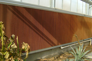 Various Specifications Cooling System for Greenhouse