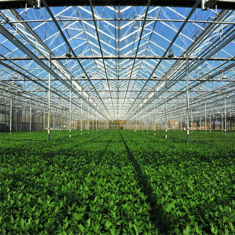 Hot sale Automated Greenhouse Environment Control System Venlo Greenhouse Agricultural Greenhouse for Vegetables/flowers/fruits/garden/tomato/crop/corn