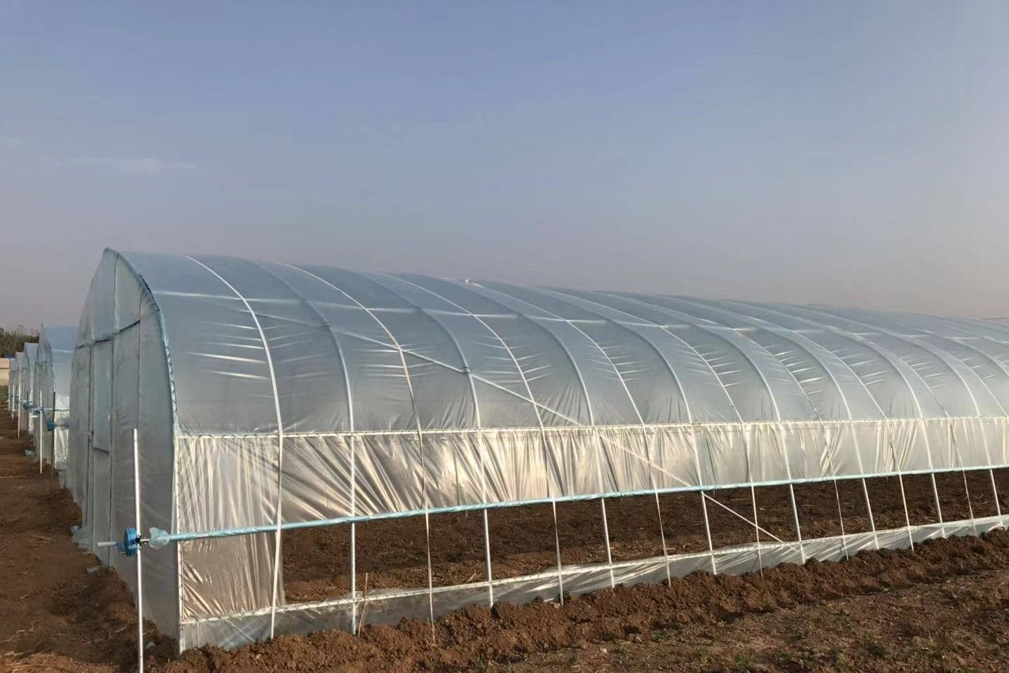 Tunnel agriculture film/plastic greenhouse for sale 