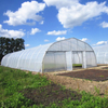 Professional Invernadero Single-span Plastic Film Tunnel Greenhouse for Vegetables 