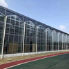 PC Sheet Agriculture Multi-Span Polycarbonate Greenhouse
