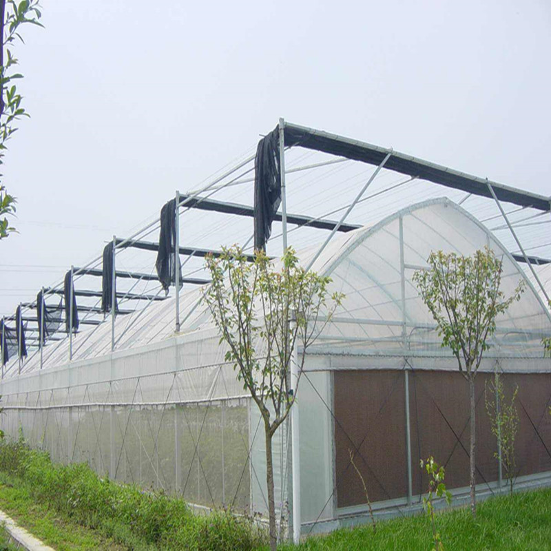 Cheap inside shade System Commercial Multi-span Agricultural Hydroponic Greenhouse for Vegetables/flowers/fruits/garden/tomato/crop/corn