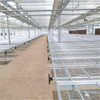 Greenhouse Farming Agriculture Equipment Benches