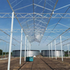 Steel Galvanized Pipe Greenhouse Structure for Greenhouse 