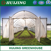 Agriculture/Farm/Multi-Span/Single-Span/Tunnel Plastic Film Greenhouse with Irrigation System for Tomato/Strawberry/Cucumber Planting