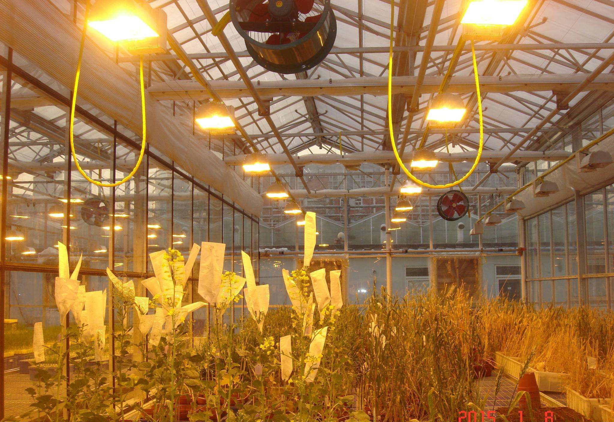 Greenhouse Lighting System Buy Product on HUIJING GREENHOUSE