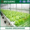 China Hydroponic Growing System for Plastic Film Greenhouse
